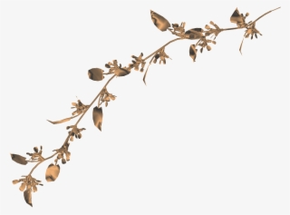 Twig