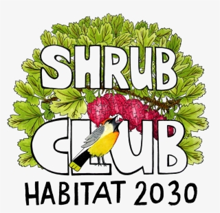 Climbing Plants Png