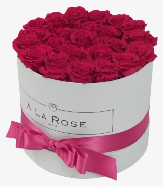 Orb Deluxe Hot Pink Roses - Garden Roses