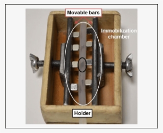 Picture Of The Immobilization Chamber - Plywood