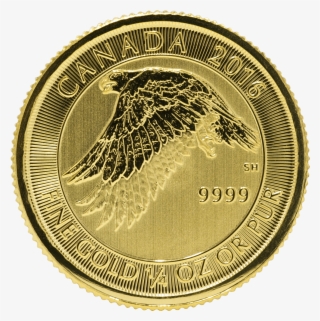 Gold Canadian Gyrfalcon 1/4 Oz - Coin