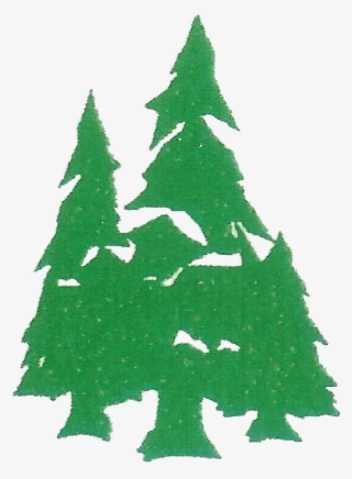 Evergreen Png - Christmas Tree