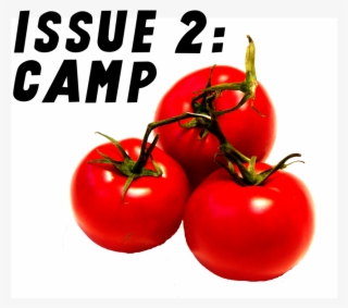 Camp