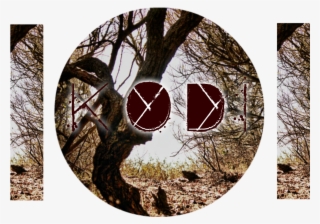Kodibanner