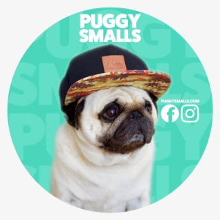 Puggy Smalls Sticker Pugcircle - Puggy Smalls