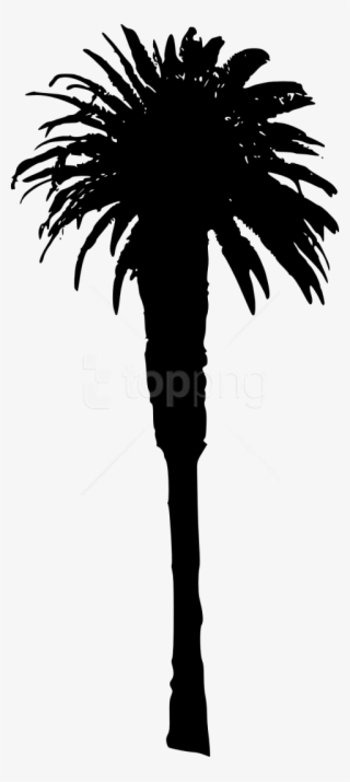 Free Png Palm Tree Png - Illustration