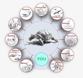 Human Impact Graphics For Dtpc