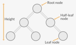 Binary Tree Definitions - Piercing En La Punta