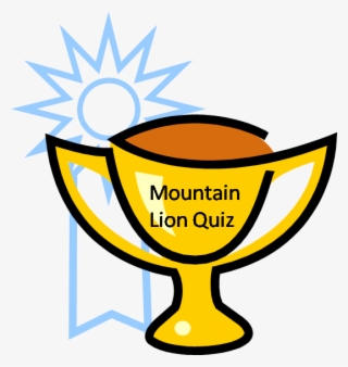 Mountain Lion Quiz Winner - Kirby Punc Enemy