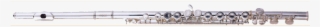 Fontaine C Flute Split E Mechanism Fbw107 - Piccolo Clarinet