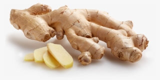Fresh Ginger Root - Greater Galangal