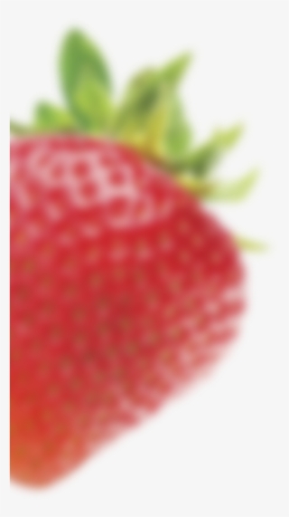 Fynbo Strawberry Jordbær Marmelade Jam - Strawberry