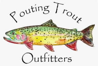 Trout