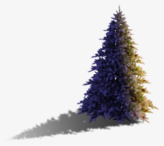 Christmas-tree - Christmas Tree