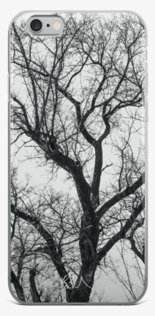 Made - Birch