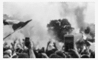 Halftone-future - Monochrome