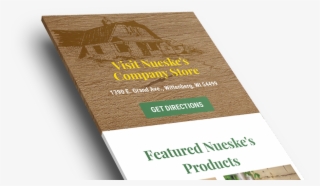 American Eagle Website Design Reviews Idev Ecommerce - Flyer