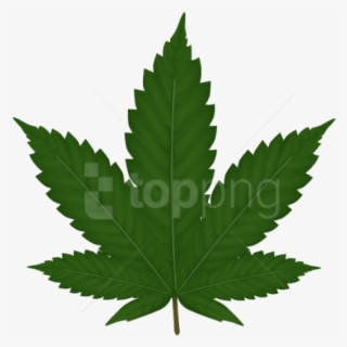 Free Png Download Cannabis Clipart Png Photo Png Images - Weed Clipart