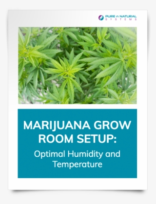 Grow Room Setup-download Cover - Herbal