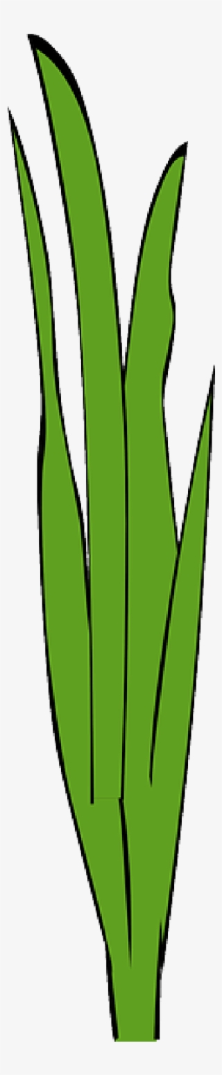 Marijuana Plant Transparent Background - Erva Daninha Png