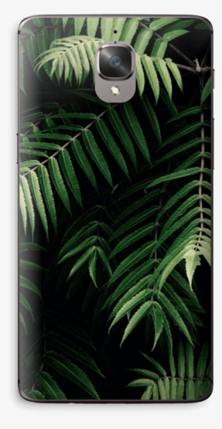 Tropics Skin Oneplus - Macbook