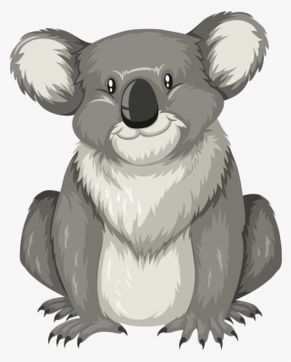 2000 X 2418 5 - Koala Flashcard