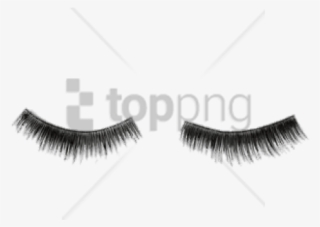 Free Png Download False Lower Eyelashes Png Images - Eyelash