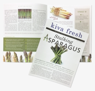 Stalking Asparagus - Vegetables
