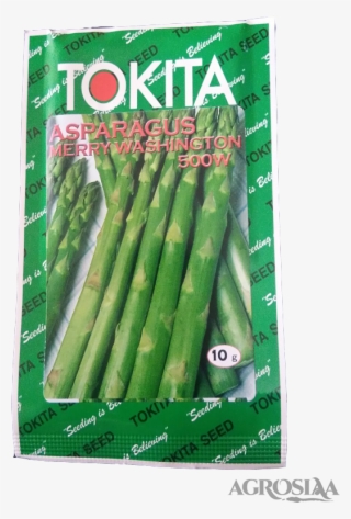 Tokita - Asparagus