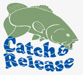 Because A Bass Is Too Valuable To Catch Only Once - Catch And Release