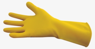 Imagen Id 5342 - Guantes Domesticos Png