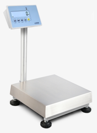 Twitter - Stainless Steel Bench Scale