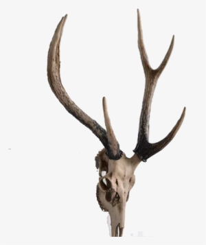 Deer Head Decor - Three Hands Resin Deer Head Wall Decor
