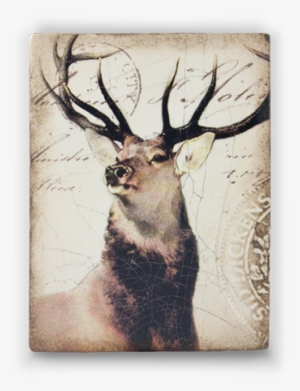 King Of The Forest - Elk