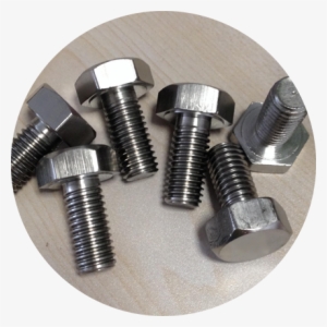 Bolts - Stainless Steel
