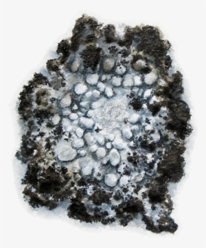 Iceland Moss - Cetraria Islandica - Sphere