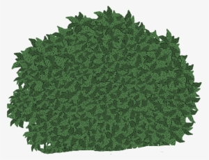 Hanging Moss -