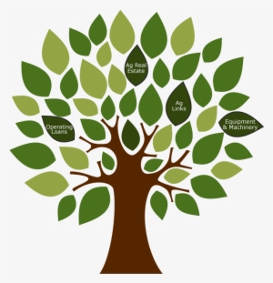 Transparent Plant Agricultural - Green Color Day Activities