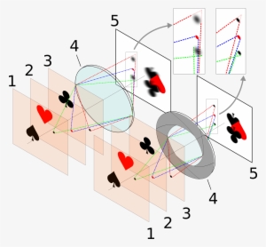 File By Wikipedia User Chabacano, Licensed Cc By Sa - Diaphragm