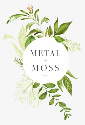 Hanging Moss Png