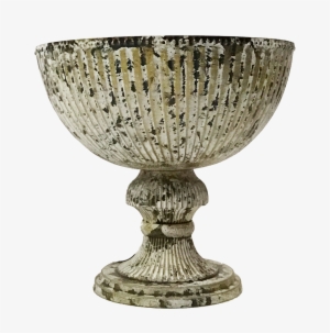 As I Was Walking Down One Of The Aisles, I Spotted - Trees N Trends