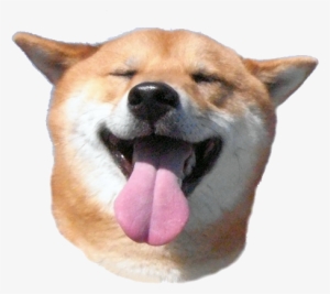 Kobosu Head Super Smile - Shibe Png