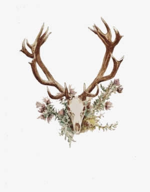 Deer Antler Png - Antlers And Flowers Tattoo