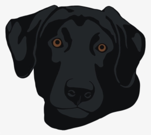 Black Lab Head - Black Lab Head Png