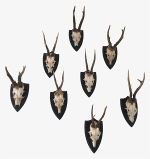 Deer Antler Png Graphic Black And White - Deer