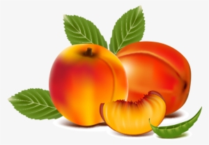 Jpg Library Library Juice Peach Transprent Png Free - Peach Fruit Clipart