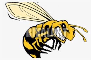 Hornet Clipart Killer Bee - Killer Bee Clipart
