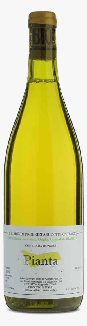 2016 Pianta Igt Sicilia - Etna Doc