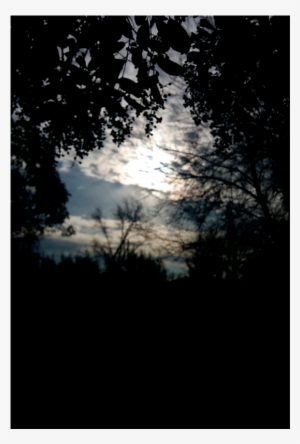 Hasta Tenue Entre Nubes, La Luz Del Sol Es Energía - Light