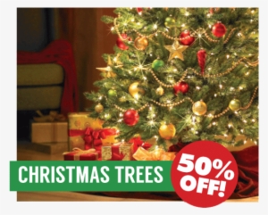 Of Christmas Decorating - Fenix Pictures Magic Of Christmas Ii